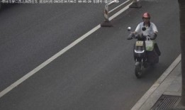 电动车事故最新爆料消息